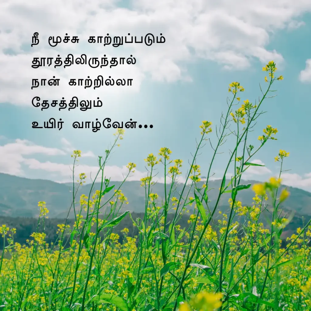 Love Quotes in Tamil Images with Quotes
